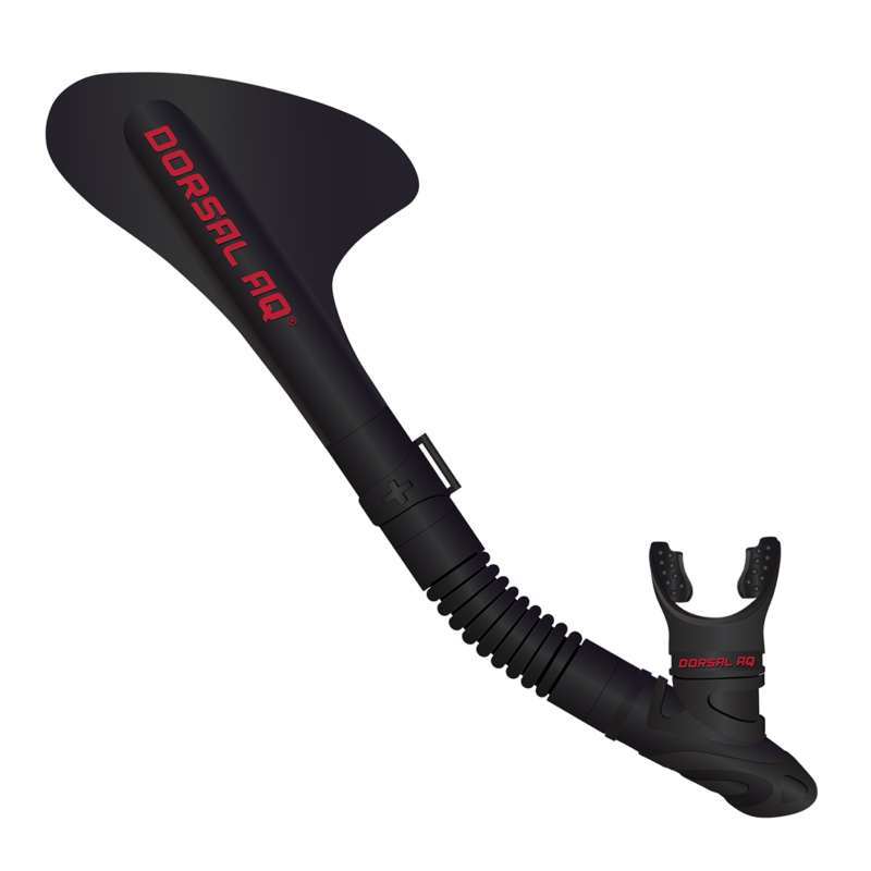 Dorsal AQ Snorkel